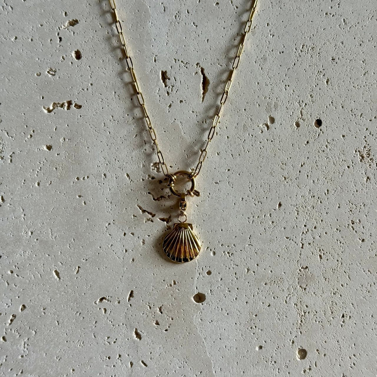Beach shell bedel